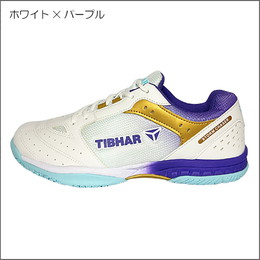 ストームチェイザー